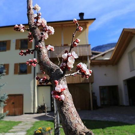 Ferienhof Weingenuss Apartment Cortina Sulla Strada del Vino Luaran gambar